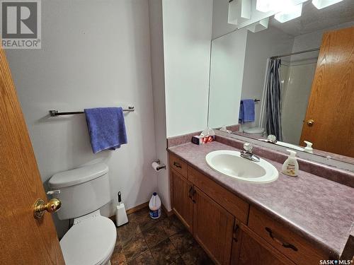 11 Arcola Place, Carlyle, SK - Indoor Photo Showing Bathroom
