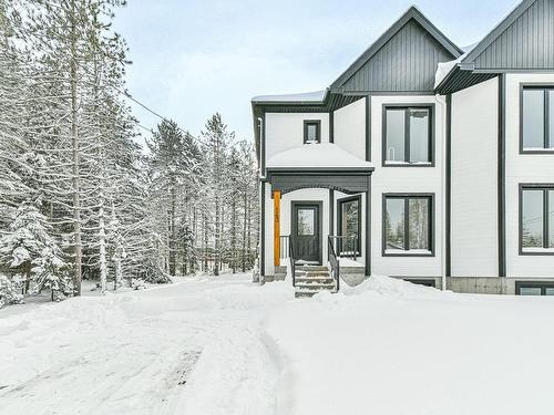 Frontage - 143 Rue Wilson, Mont-Blanc, QC - Outdoor