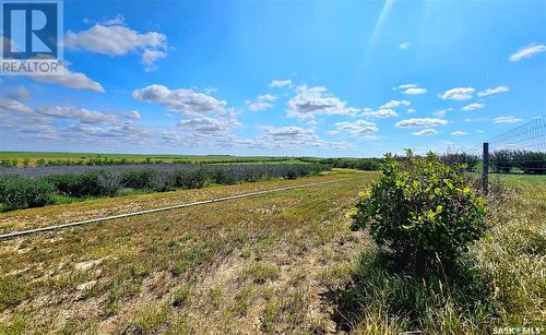 Shackleton Acreage, Miry Creek Rm No. 229, SK - Outdoor With View