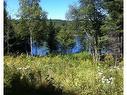 Vue d'ensemble - Ch. Des Grands-Ducs, Saint-Michel-Des-Saints, QC 