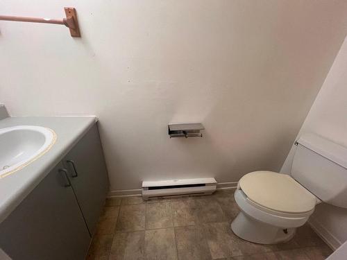 Salle d'eau - 395 Rue Alphonse-Leblanc, Gatineau (Buckingham), QC - Indoor Photo Showing Bathroom