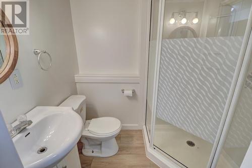114 Dogberry Hill Road Extension, St. Philips, NL - Indoor Photo Showing Bathroom