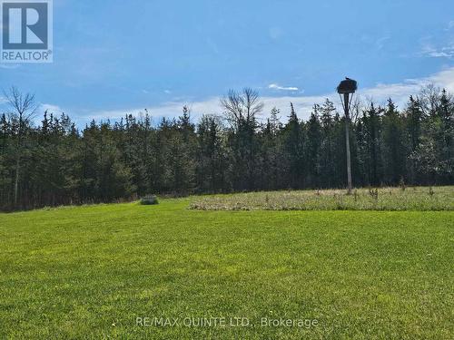 1648 North Big Island Road, Prince Edward County, ON - Outdoor With View