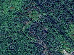 56 David Street  Port Hastings, NS B9A 1N8