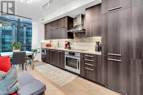 610 - 15 Beverley Street, Toronto, ON - Indoor Photo Showing Kitchen With Upgraded Kitchen