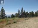 405 Sasquatch Trail N Unit# Lot 37 Lot# Lot 37, Osoyoos, BC 