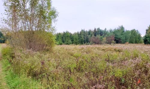 530 10Th Concession Road E, Flamborough, ON - Outdoor With View
