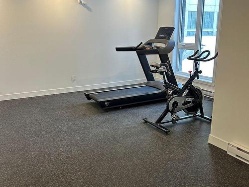 Salle d'exercice - 124-5480 Av. Henri-Julien, Montréal (Le Plateau-Mont-Royal), QC - Indoor Photo Showing Gym Room