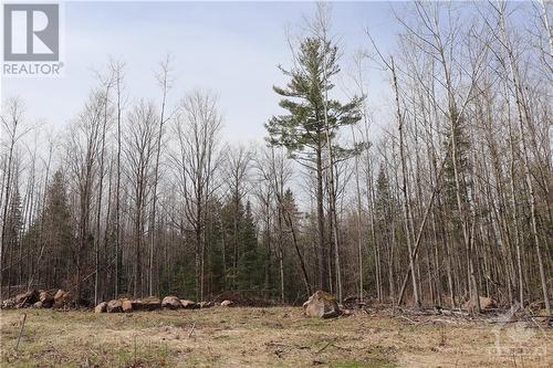 Treed 4 acre lot. - 462 Wilson Farm Road, Calabogie, ON 