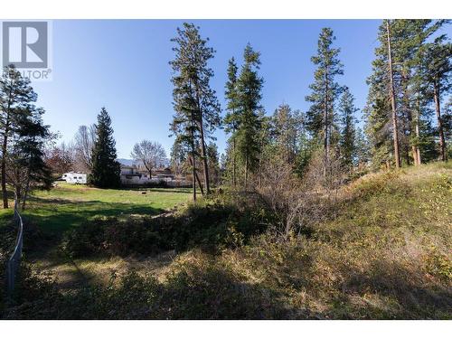 3297 Hall Road, Kelowna, BC - Outdoor With View