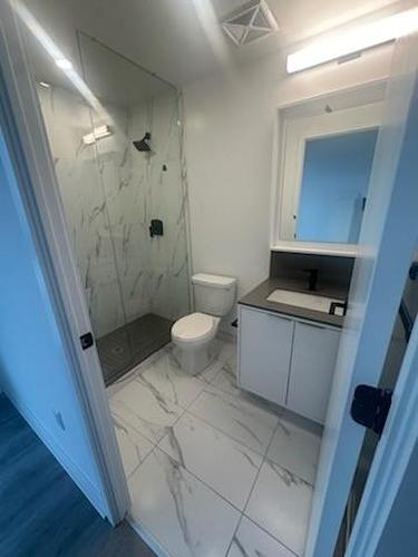 36 Zorra Street|Unit #1509, Etobicoke, ON - Indoor Photo Showing Bathroom