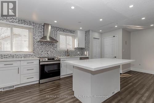 19 Cecelia Court, St. Catharines, ON - Indoor Photo Showing Kitchen With Upgraded Kitchen