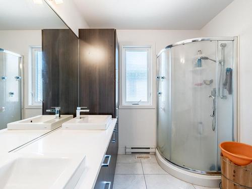 Salle de bains - 30 Rue Du Croissant-Perlé, La Prairie, QC - Indoor Photo Showing Bathroom