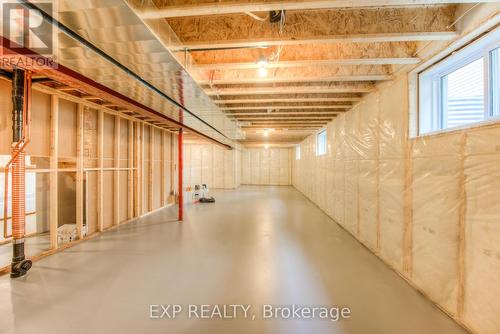 19 Carriage Crossing, Mapleton, ON - Indoor Photo Showing Basement