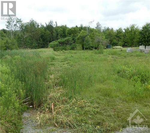 Photo of the western property line. - Pt Lot 5 Labonte Street, Clarence Creek, ON 