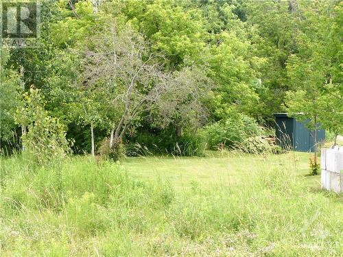If you look carefully you will see the wooden post with red flag on it for the northeast corner of the property. - Pt Lot 5 Labonte Street, Clarence Creek, ON 