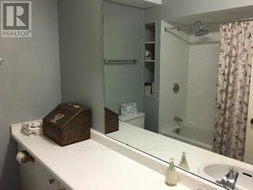 13 Portneuf Court, Toronto (Waterfront Communities), ON - Indoor Photo Showing Bathroom