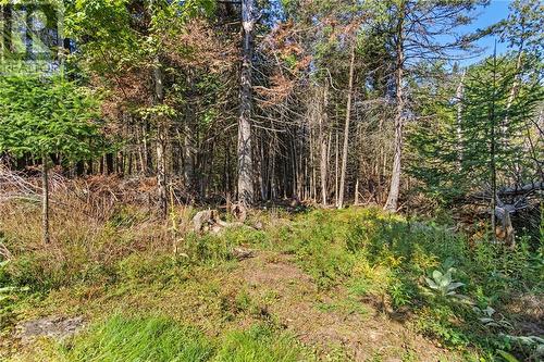 1256 Drummond 9A Concession Road, Perth, ON - Outdoor With View