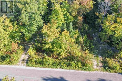 Part 2 Lot 38 Pine Island Rd, Laird, ON 