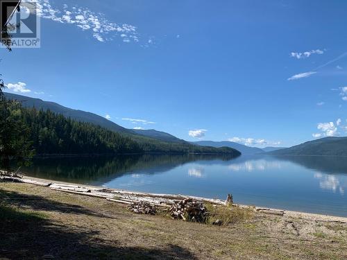 10045 Adams East Fsr, Adams Lake, BC 