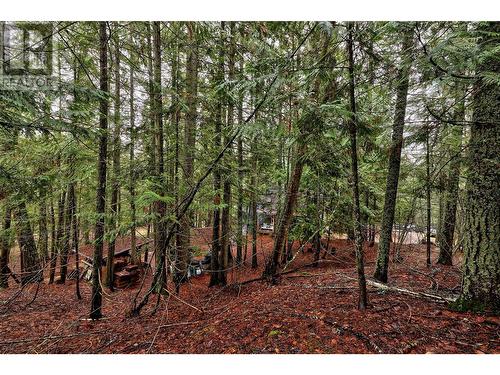 6057 Line 17, Magna Bay, BC - Outdoor With View