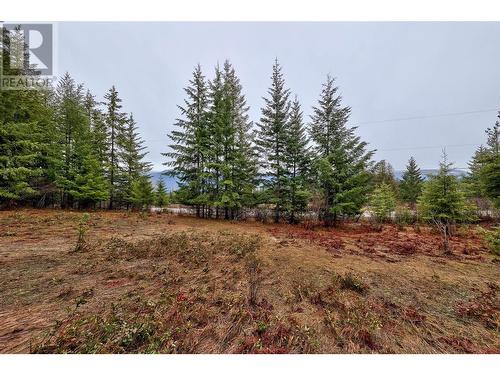 6057 Line 17, Magna Bay, BC - Outdoor With View