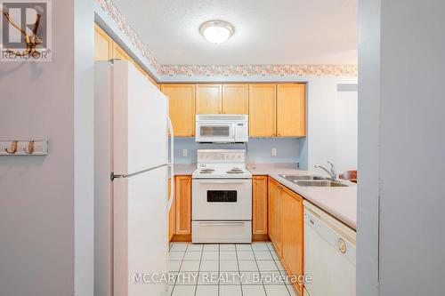 #206 -250 Robert St, Shelburne, ON - Indoor Photo Showing Kitchen With Double Sink