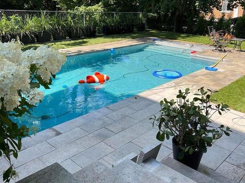 Pool - 94 Av. Beloeil, Montréal (Outremont), QC - Outdoor With In Ground Pool With Backyard