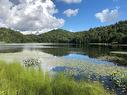 Waterfront - Ch. Du Val-Des-Monts, Saint-Adolphe-D'Howard, QC 