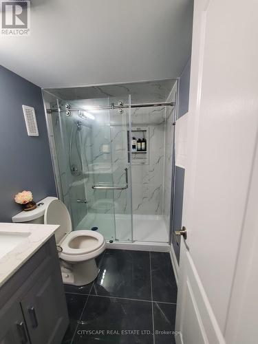 Bsmt - 24 Twilley Road, Brampton, ON - Indoor Photo Showing Bathroom