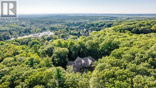 1 Pierce Court, Springwater, ON - Outdoor With View
