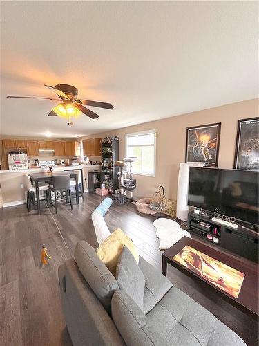 126 Chester Avenue, Hamilton, ON - Indoor Photo Showing Living Room