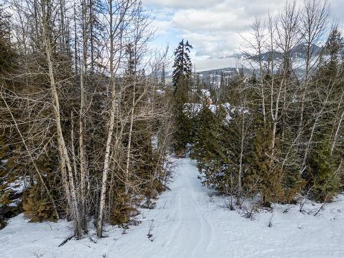 15 - 4576 Timberline Crescent, Fernie, BC - Outdoor With View