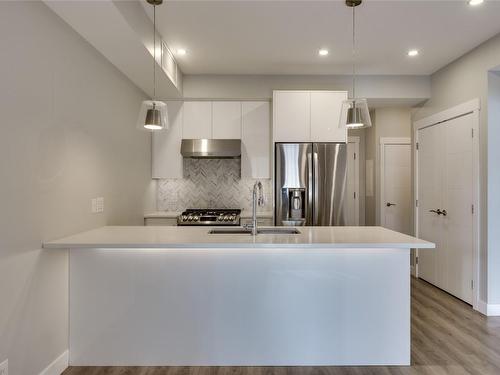 103-1883 Water Street, Kelowna, BC - Indoor Photo Showing Kitchen With Stainless Steel Kitchen With Upgraded Kitchen