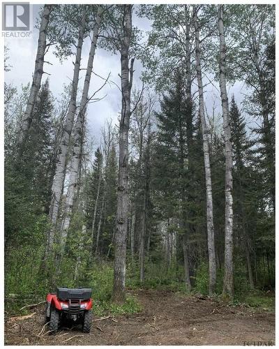Lot 12 Con 6 Maclean Dr|Lot 12 Con 6 Tisdale, Timmins, ON 