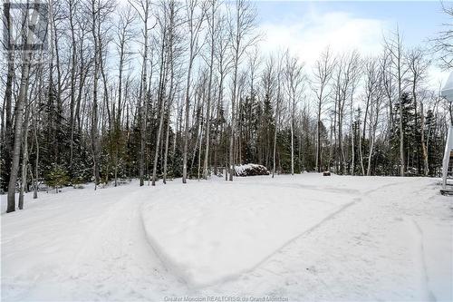 4165 Route 115, Notre Dame, NB - Outdoor With View