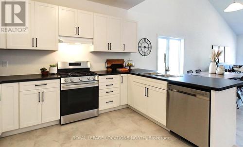 13 Maidens Cres, Collingwood, ON - Indoor Photo Showing Kitchen With Double Sink
