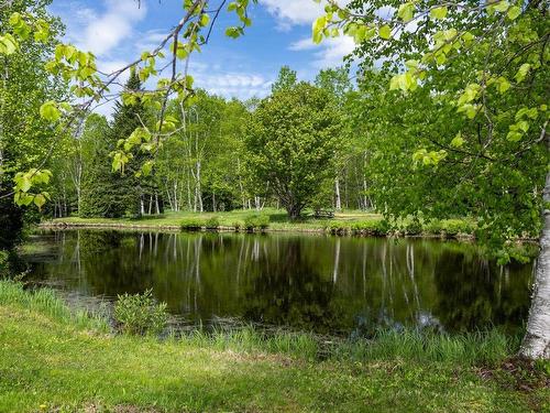 Waterfront - 1288 Route 138, Petite-Rivière-Saint-François, QC - Outdoor