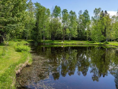 Waterfront - 1288 Route 138, Petite-Rivière-Saint-François, QC - Outdoor With Body Of Water