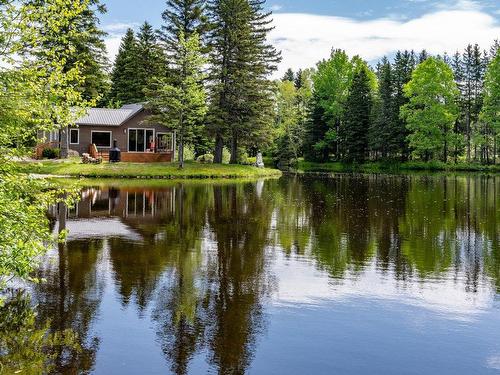 Waterfront - 1288 Route 138, Petite-Rivière-Saint-François, QC - Outdoor With Body Of Water With View