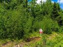 Land/Lot - Rue Des Alpes, Ascot Corner, QC 