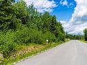 Land/Lot - Rue Des Alpes, Ascot Corner, QC 