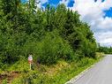 Land/Lot - Rue Des Alpes, Ascot Corner, QC 