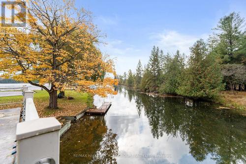 102 Albert St, Kawartha Lakes, ON - Outdoor With View