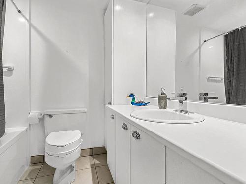 Bathroom - 603-1 Rue Des Jardins-Mérici, Québec (La Cité-Limoilou), QC - Indoor Photo Showing Bathroom