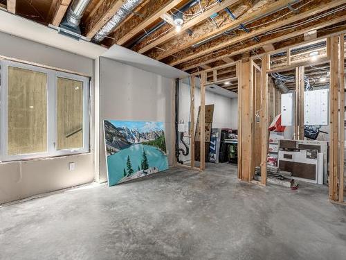 213 Rue Cheval Noir, Kamloops, BC - Indoor Photo Showing Basement