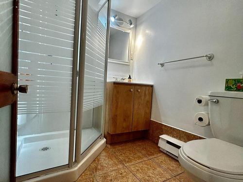 Logement - 5810Z  - 5814Z Rue St-Georges, Lévis (Desjardins), QC - Indoor Photo Showing Bathroom
