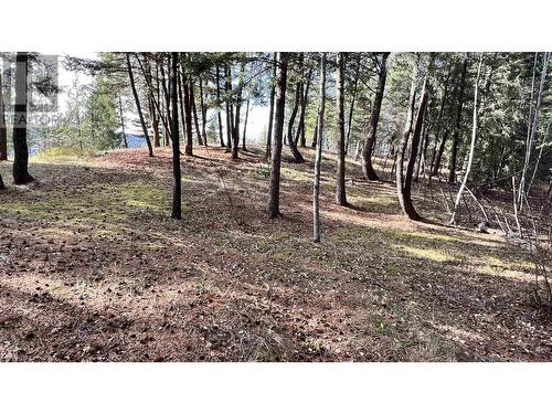 3024 Keldon Road, Lac La Hache, BC - Outdoor With View