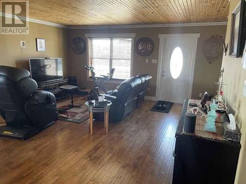 5 Marks Lane, Embree, NL - Indoor Photo Showing Living Room