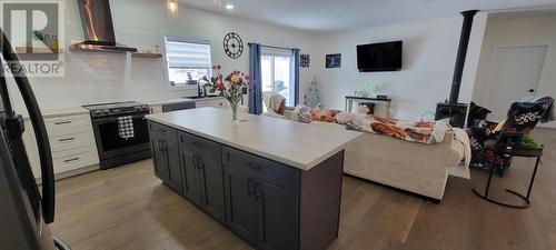 14 Branch Road, Winterland, NL - Indoor Photo Showing Kitchen